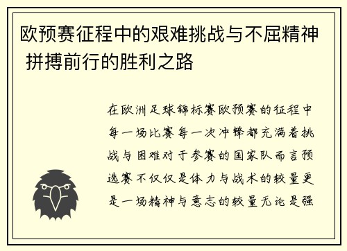 欧预赛征程中的艰难挑战与不屈精神 拼搏前行的胜利之路
