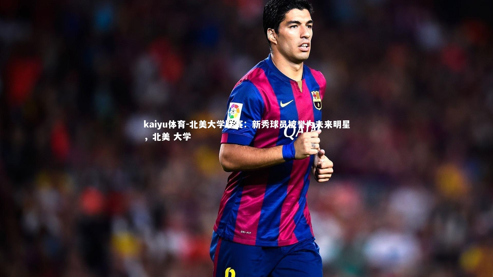 北美大学联赛：新秀球员被誉为未来明星，北美 大学