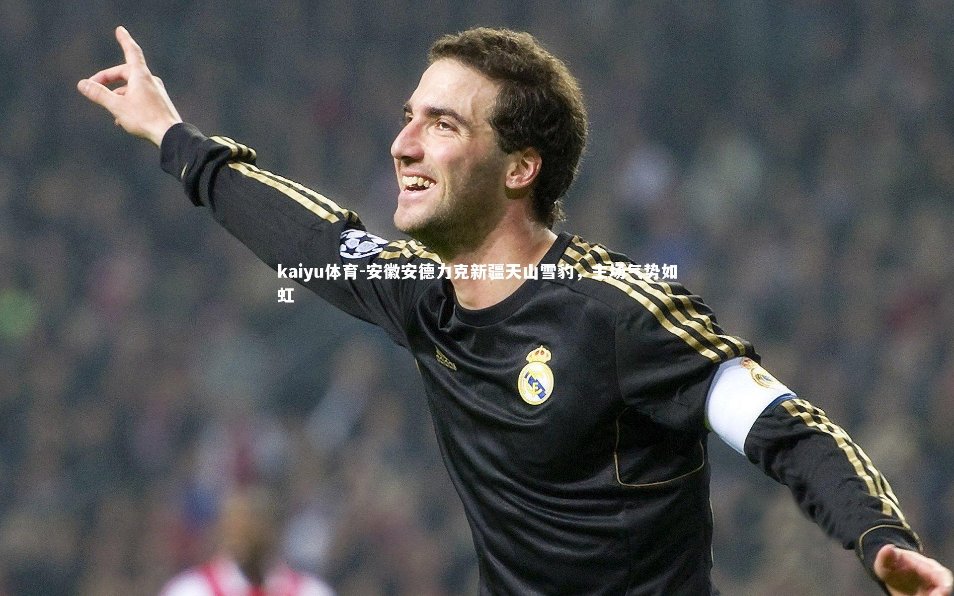 安徽安德力克新疆天山雪豹,主场气势如虹