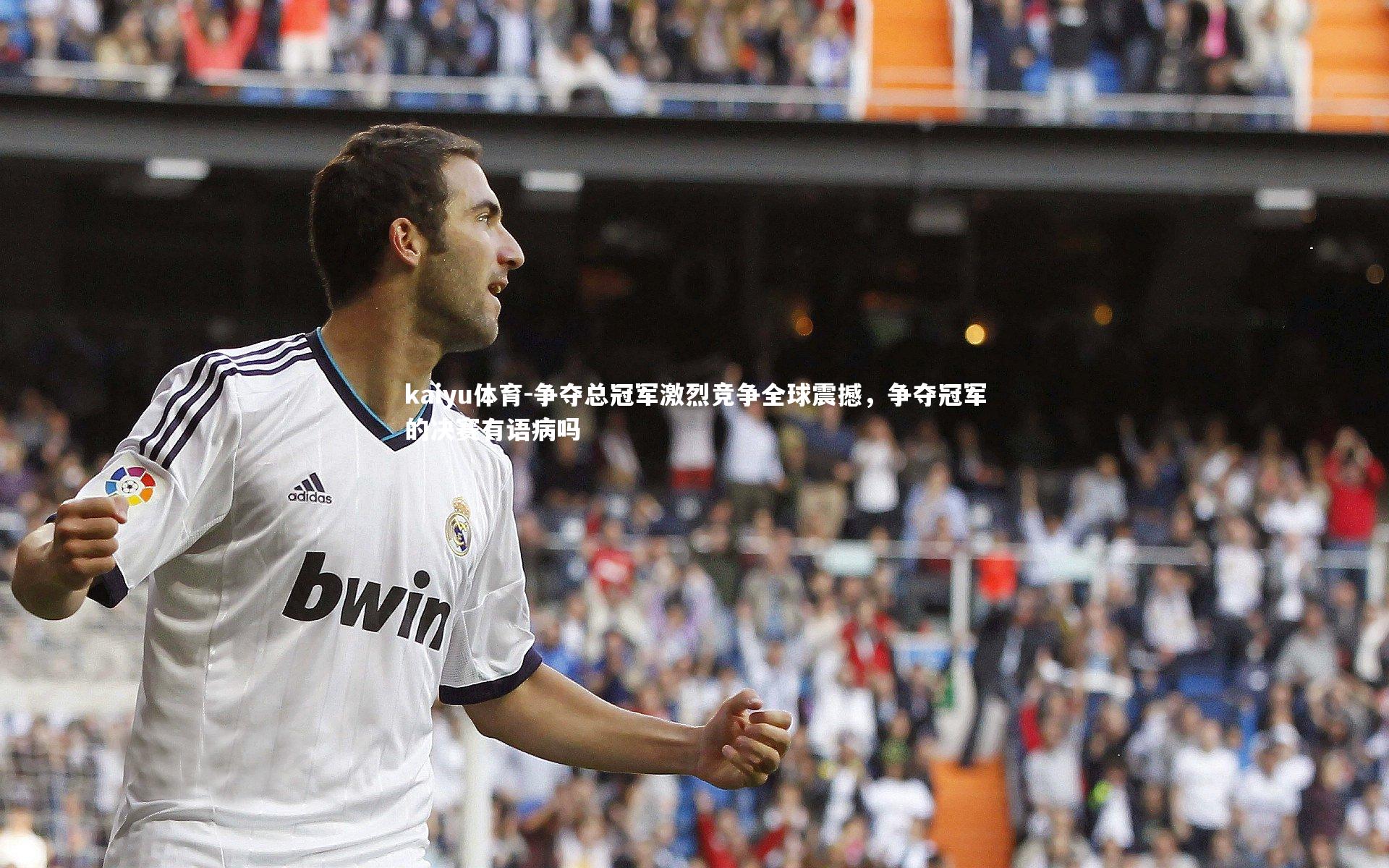 kaiyu体育-争夺总冠军激烈竞争全球震撼，争夺冠军的决赛有语病吗